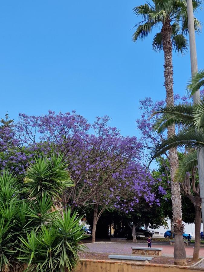 Vero Vijola in Torrevieja Exterior foto