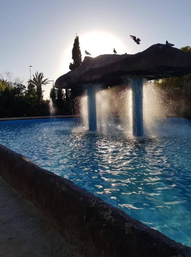 Vero Vijola in Torrevieja Exterior foto
